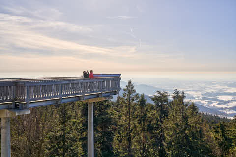 Gemeinde St._Englmar Landkreis Straubing-Bogen Maibrunn Waldwipfelweg (Dirschl Johann) Deutschland SR